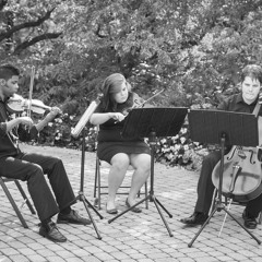 Trumpet Voluntary - Clarke