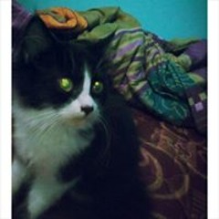 Sonia Marta Scamander