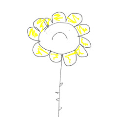 dandelions in december.