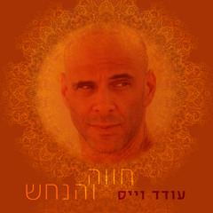 Oded Weiss