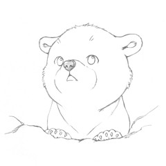 Jr. Cub