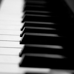 The_Provider_Official