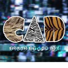 Crazy Animal Drivers