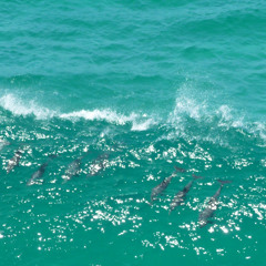 News English Lessons 日本語で