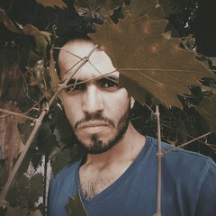 MeshalM