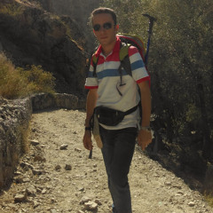 ali naderi