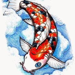 Koija