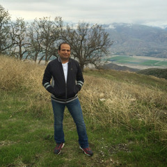 Mojtaba Shad