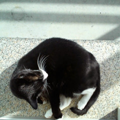 Bastian