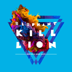 Elephant Kill Lion