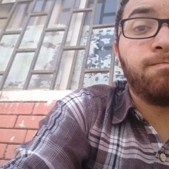 Ahmed Mohie
