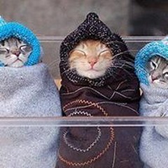 Duchess Kerry Matthews