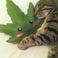 Emma-Louise Rollinson