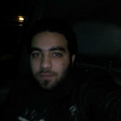 karim ahmed shahin