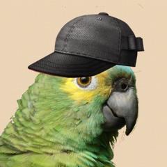 PapagaioMudo