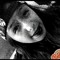 frida_2697