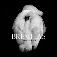 Brevitas