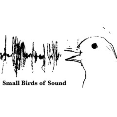 Small Birds of Sound