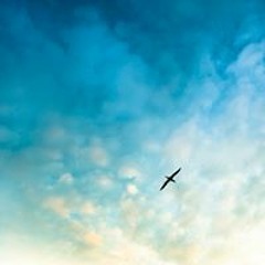 Yohan Kim