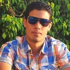 mahmoud Ganeb