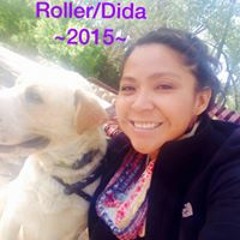 Dida Crystal