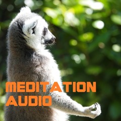 MeditationAudio