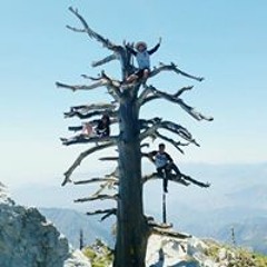 Michael De Jesus Yapo