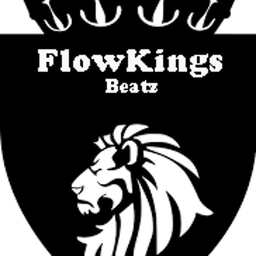 ElectroRap(Prod. FlowKings Beats)