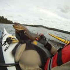 Rudi Nybakk Johansen