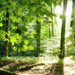 Mamdouh Mohamed Kenawy