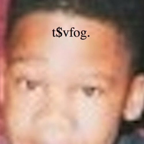 www.tsvfog.com/end.’s avatar