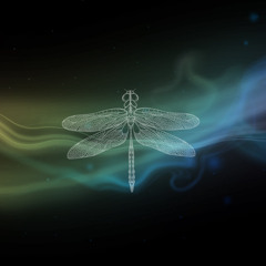 The Dragonfly Theory