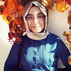 sinem er