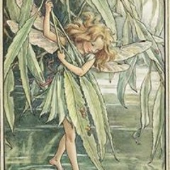 Debbie Brand Fehrenbach