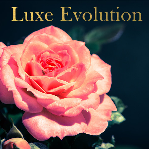 LuxeEvolution’s avatar