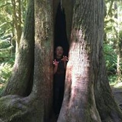 Dolf Supersockpuppet