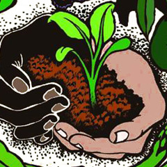 Ecosystem Productions