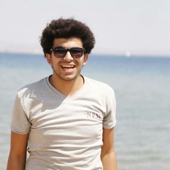 Mahmoud Elshakoushy
