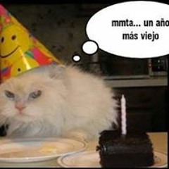 Jose Joaquin Campos Soto