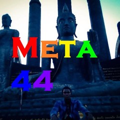 Meta 44