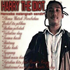 Harry The Idiot