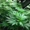 FouR20