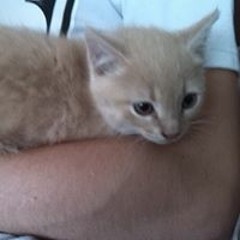 Ursula Dimi De Mulder