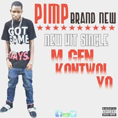 Pimpbrandnew Egaremye