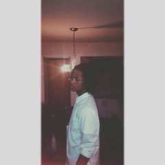 Navigator to the Universe