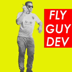 FlyGuyDev