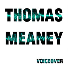 Thomas Meaney