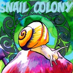 Snail Colony