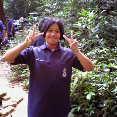 A billion girls - Elyar Fox