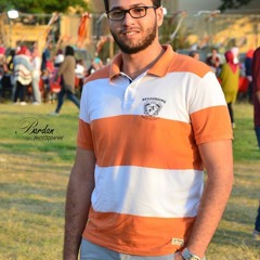 Ali K. Dabees